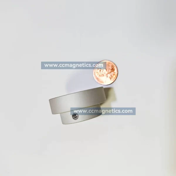 Magnetic Disk Coupling