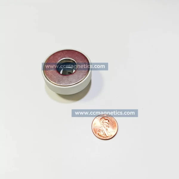 Magnetic Disk Coupling