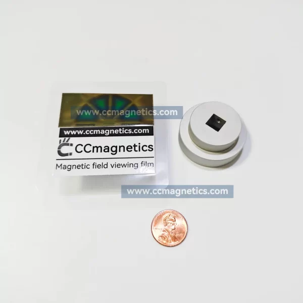 Magnetic Disk Coupling